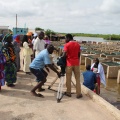 Photos Femmes bénéficiaires des financements du PPAAO