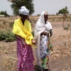 Visite de la parcelle maraîchère des femmes de Diossong (Kaolack)